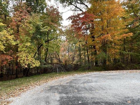 Residential Land in Crossville, TN