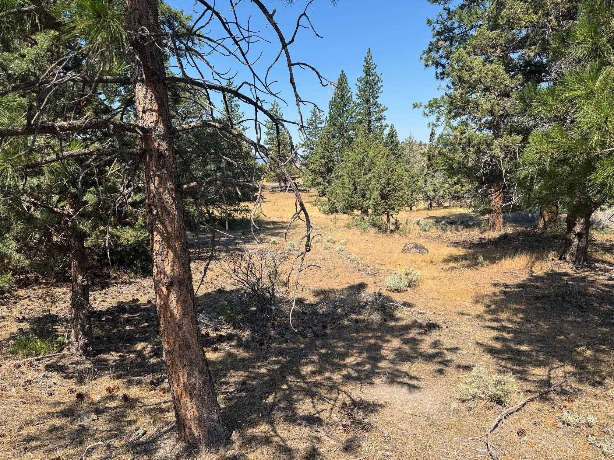 Buildable Lot in Lake Shastina