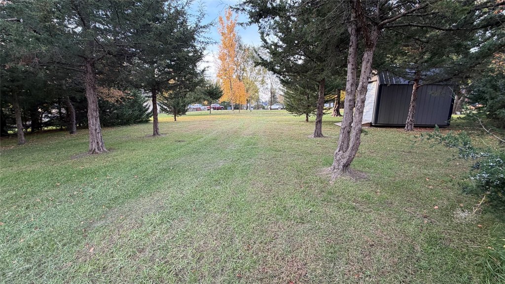 Picture 9