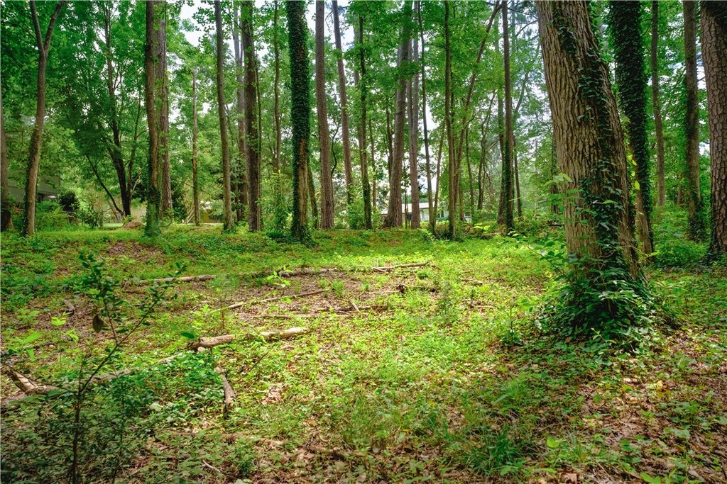 Picture 14