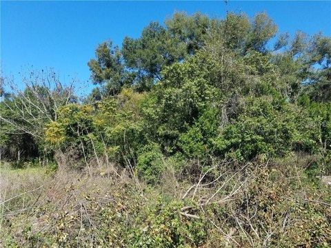 Vacant Lot in Deland, FL