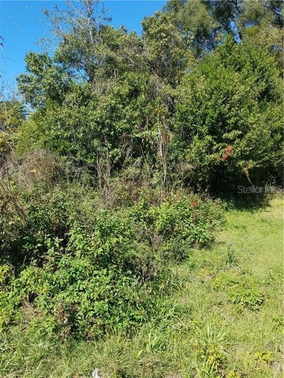 Picture 5