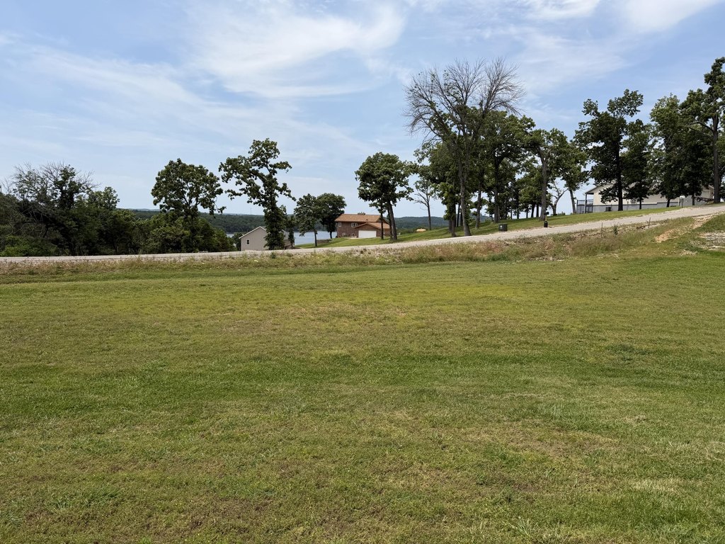 Picture 6
