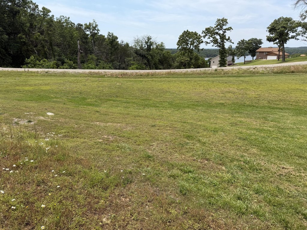 Picture 12