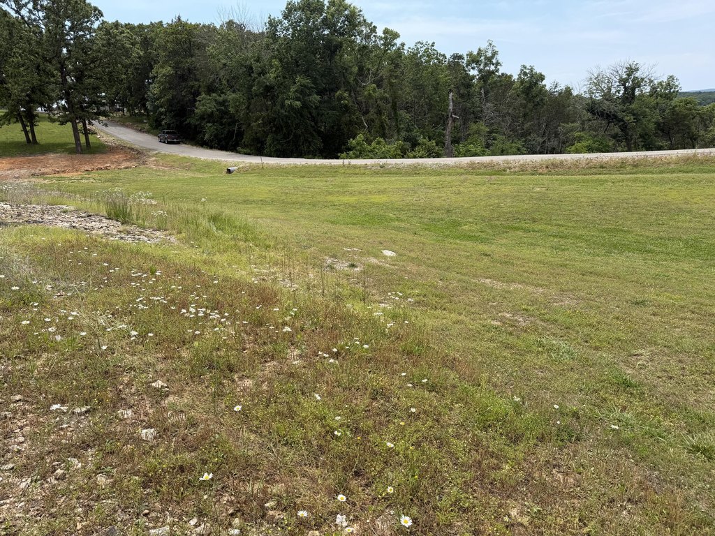 Picture 13