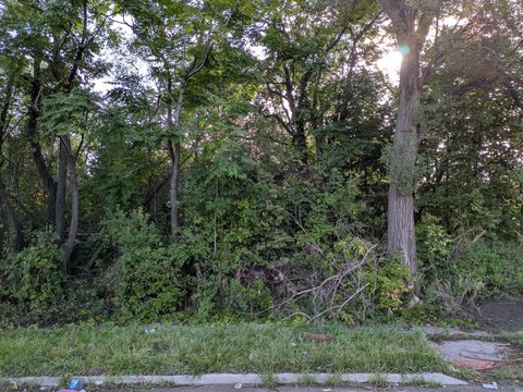 Land, Detroit, MI
