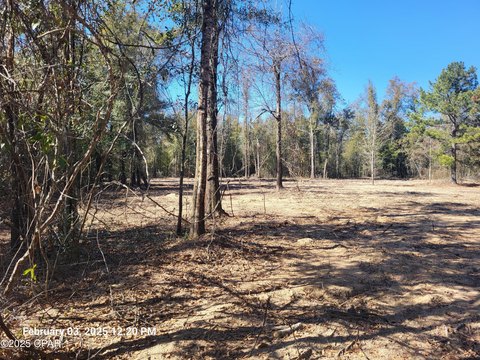 Altha, FL Land For Sale