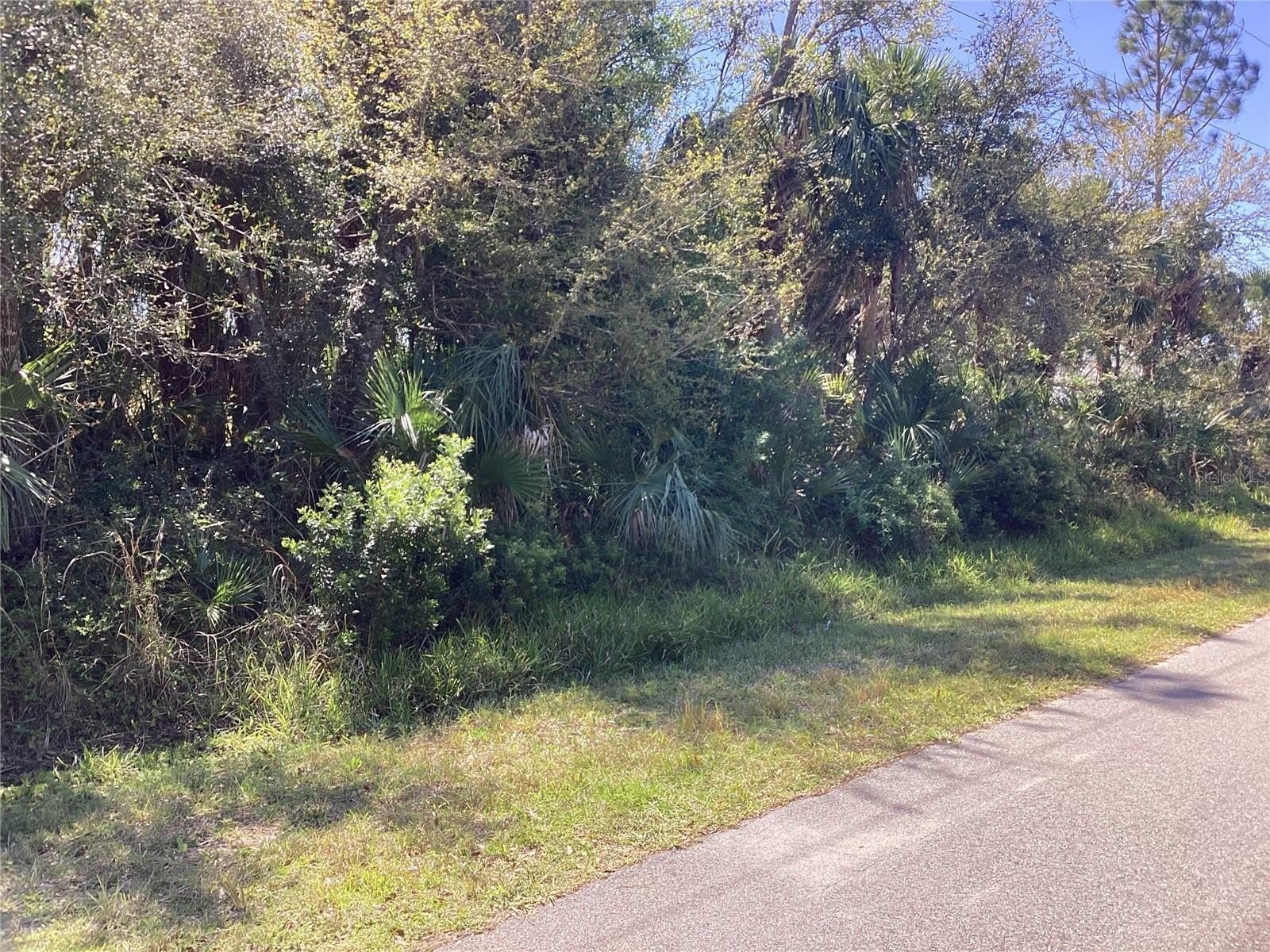 North Port Land Opportunity