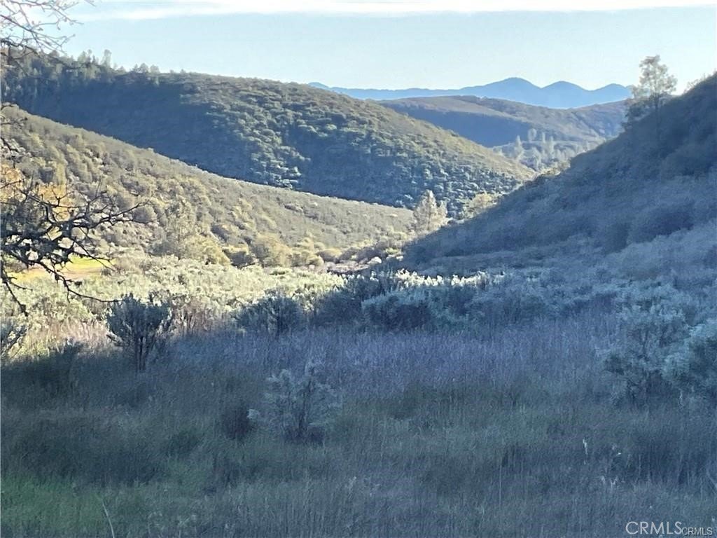 Picture 25