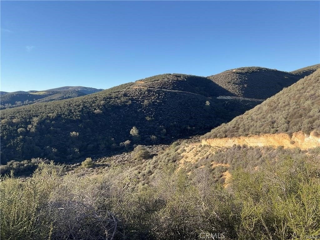 Picture 26