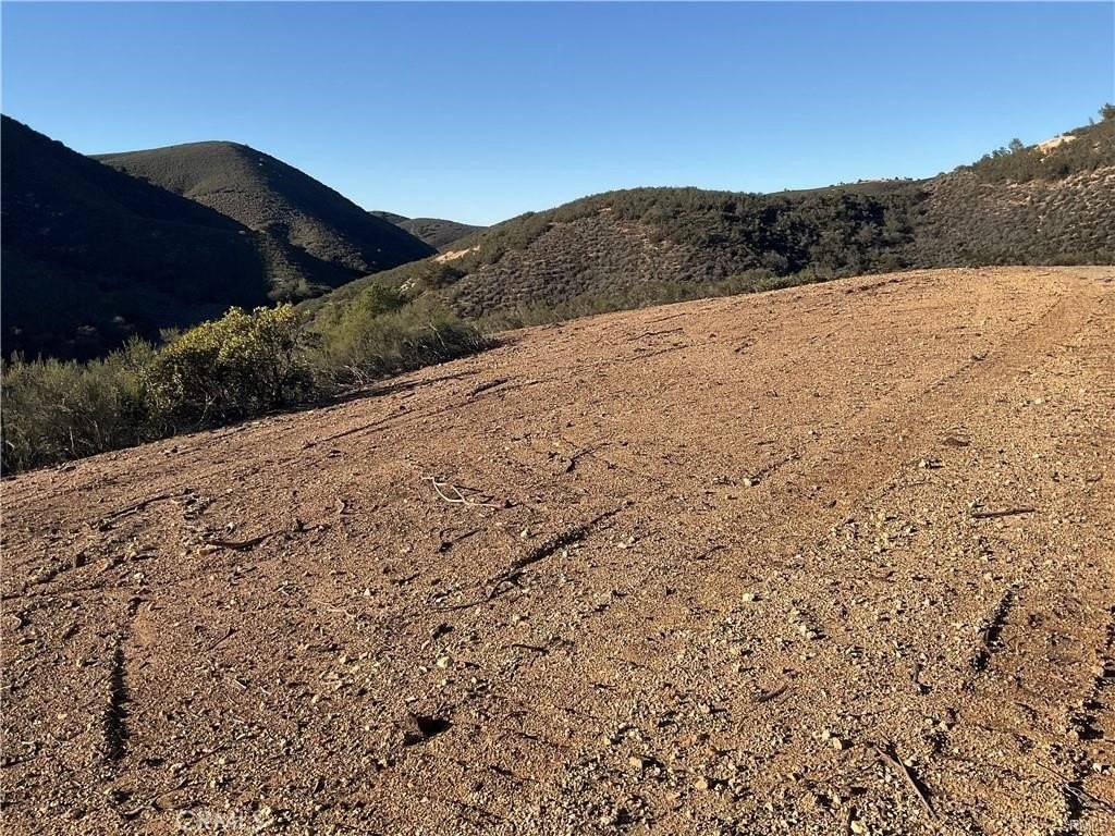 Picture 13