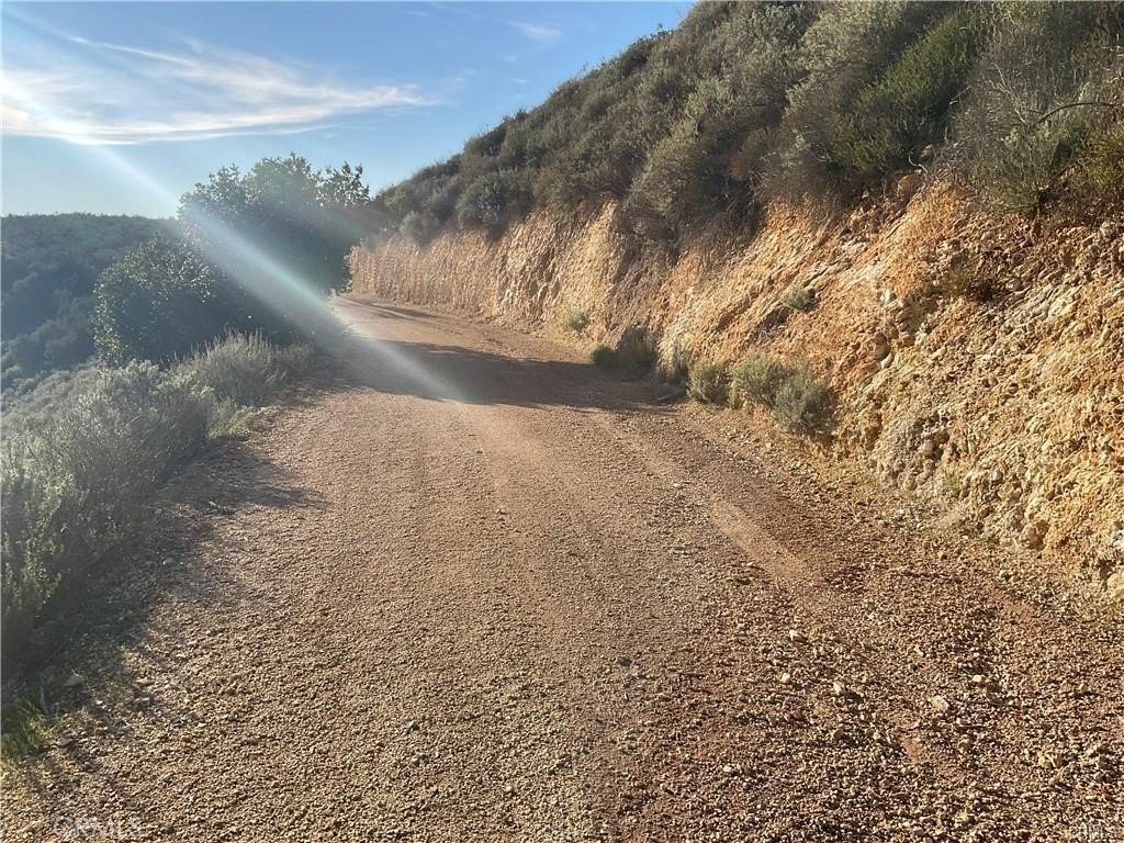 Picture 20