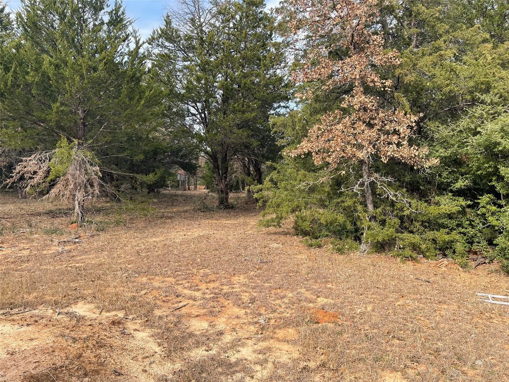 Picture 23