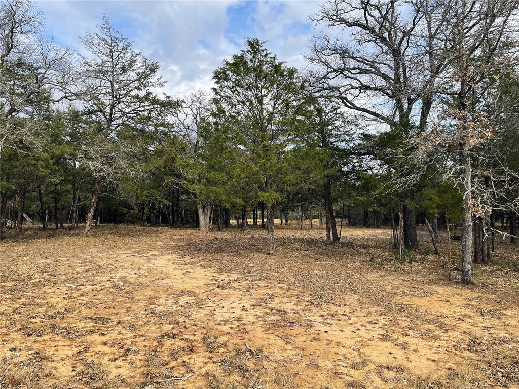 Picture 21