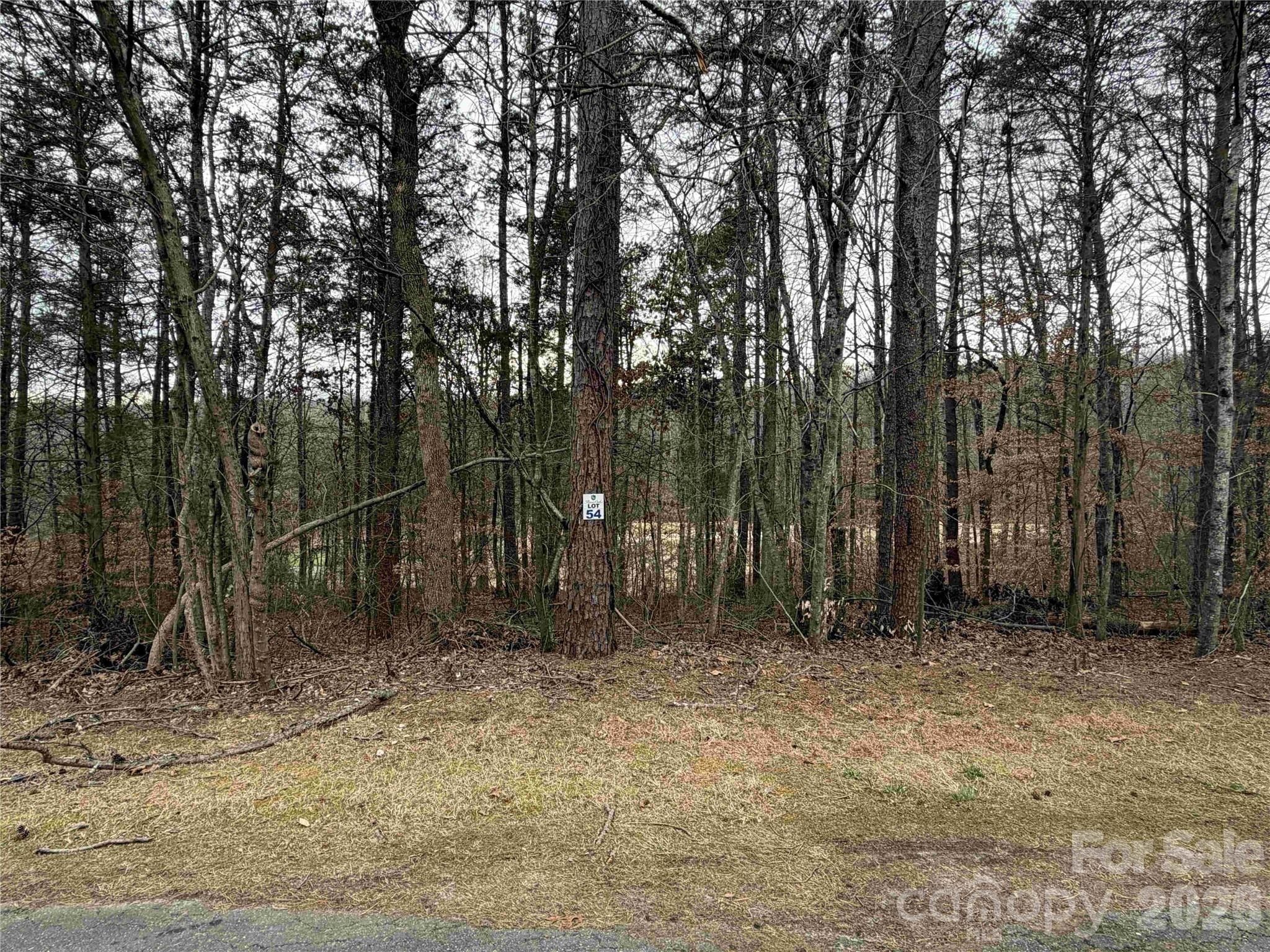 Residential Lot in Golf Community