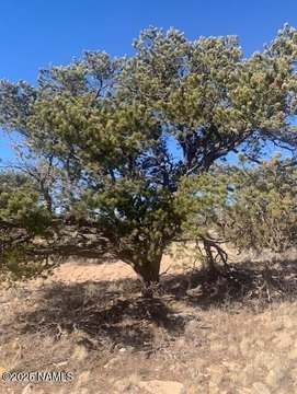 36 Acres in Four Hills Ranch