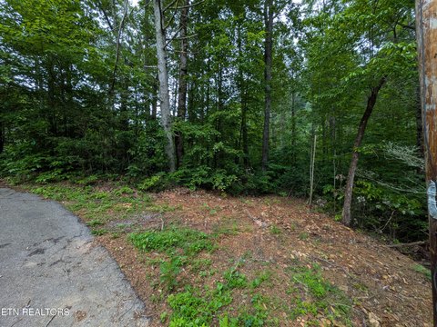 Townsend, TN Building Lot