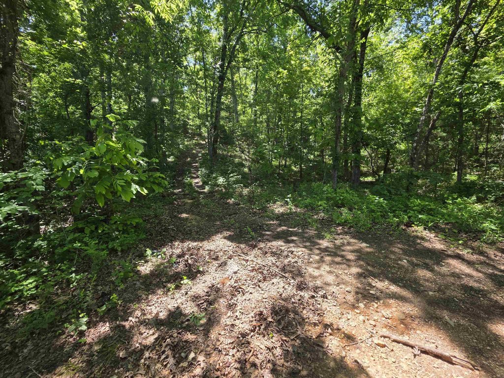 Picture 9