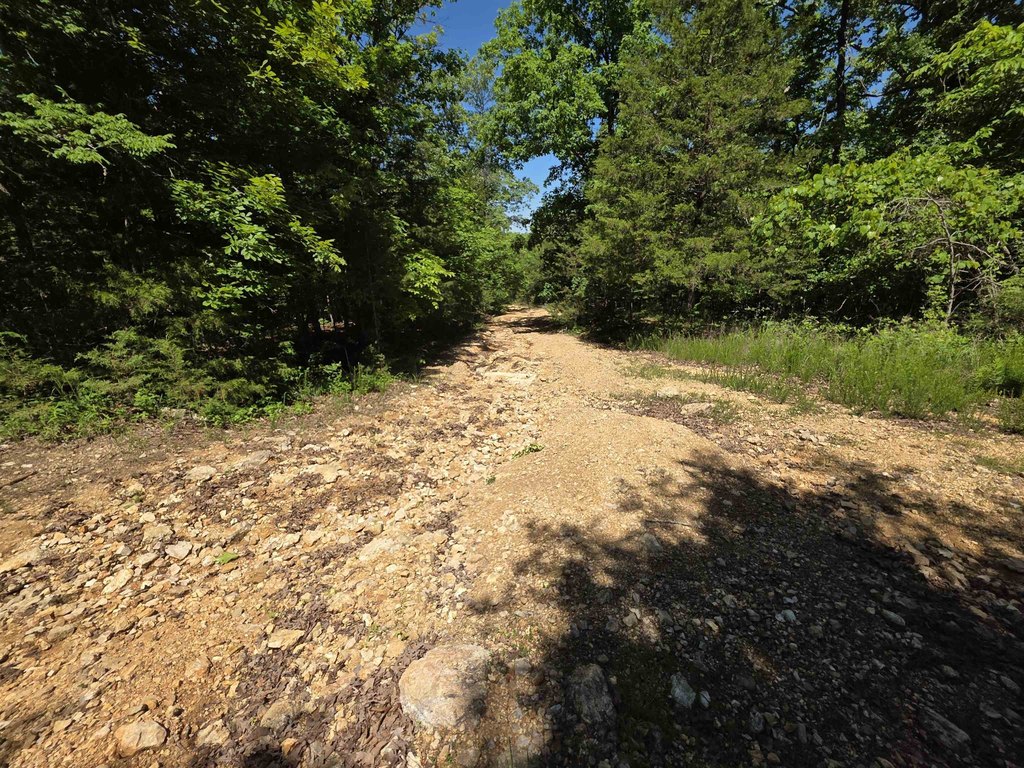 Picture 38
