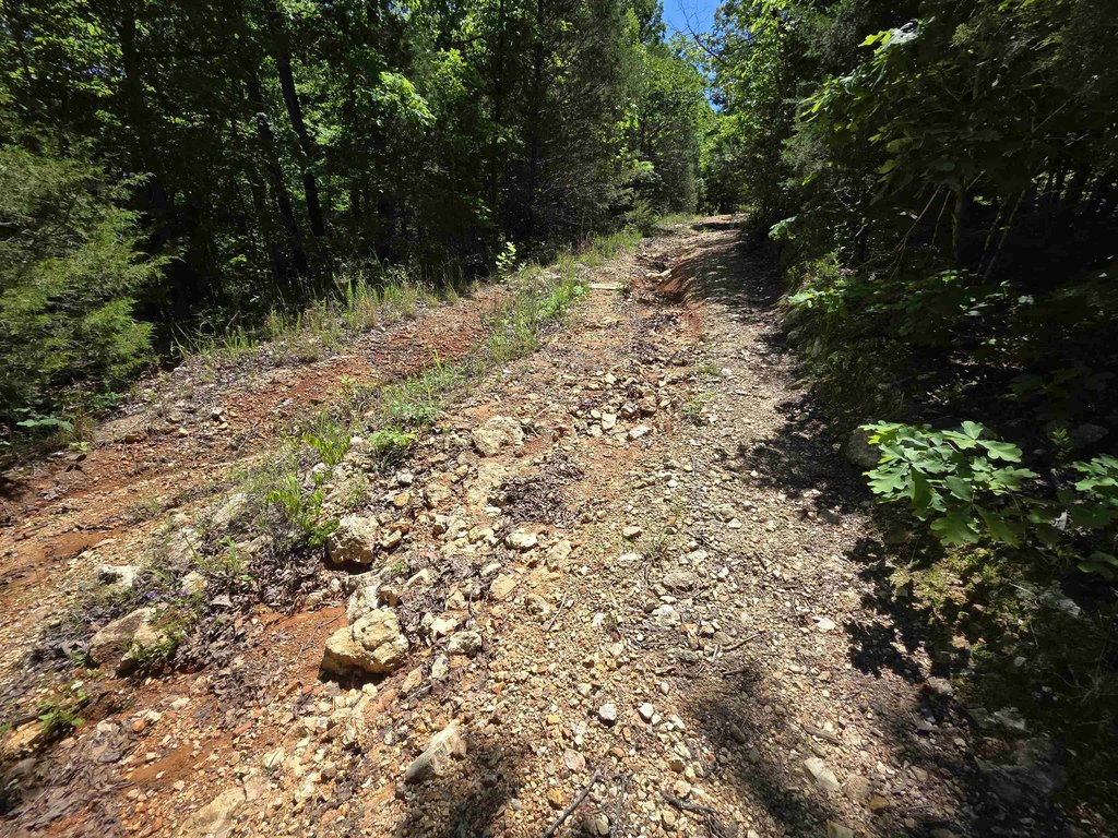 Picture 36