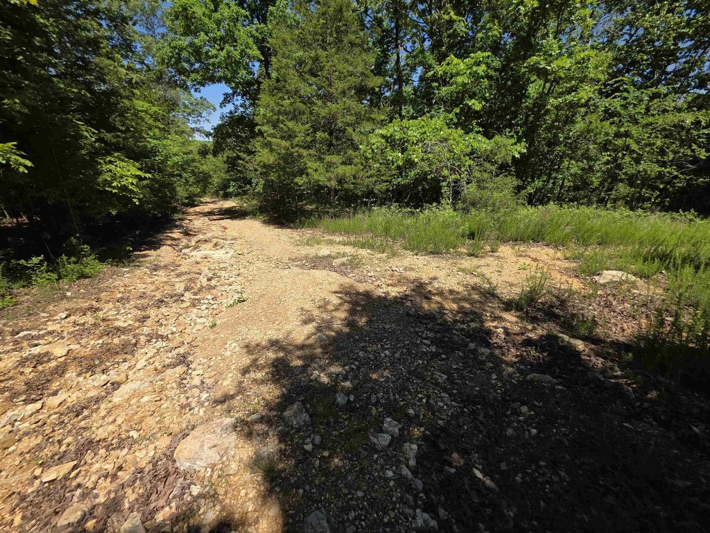 Picture 39