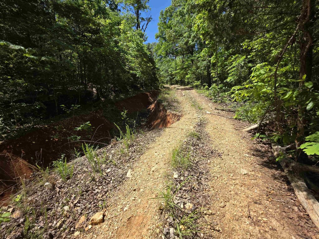 Picture 25