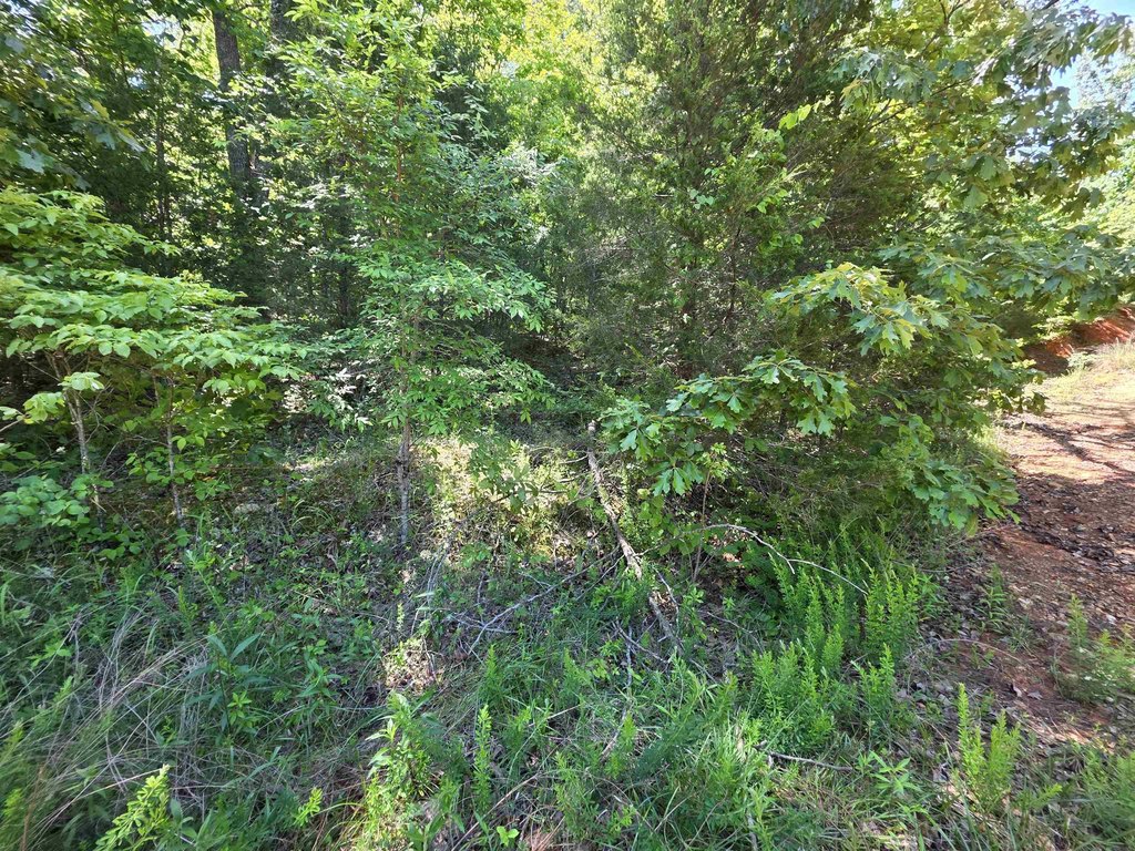 Picture 21