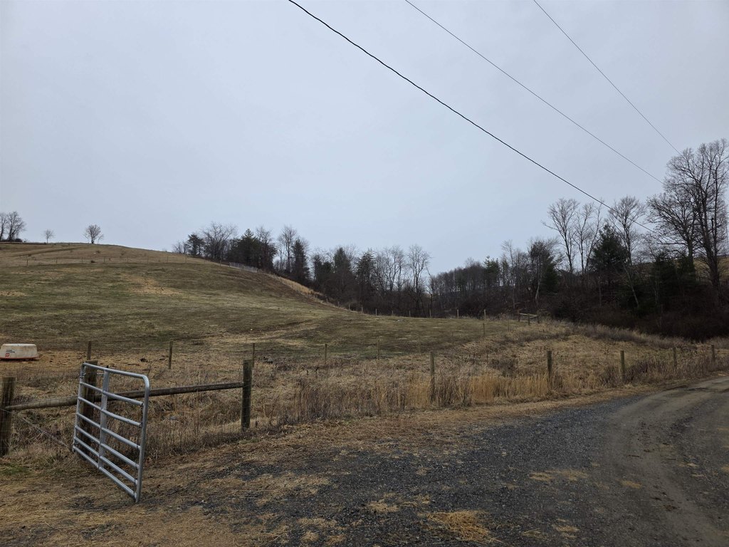 Picture 15