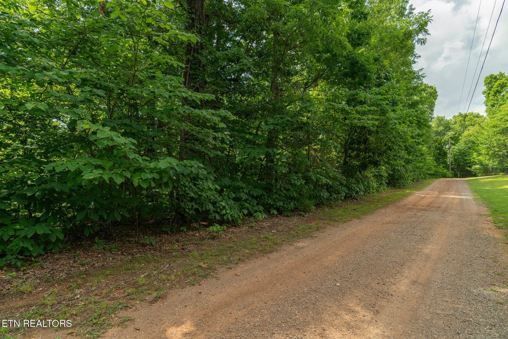 Picture 18