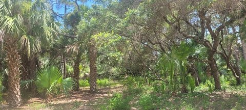 St. George Island Land