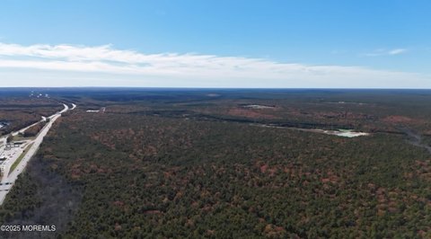 Wooded Lot in Lacey Township