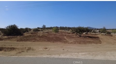 Vacant Land Parcel for Custom Build