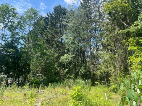 Residential Land Near Harveys Lake