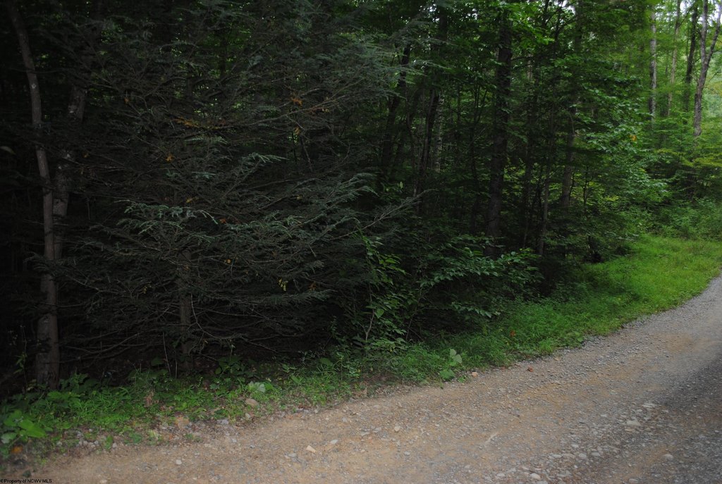 Picture 6