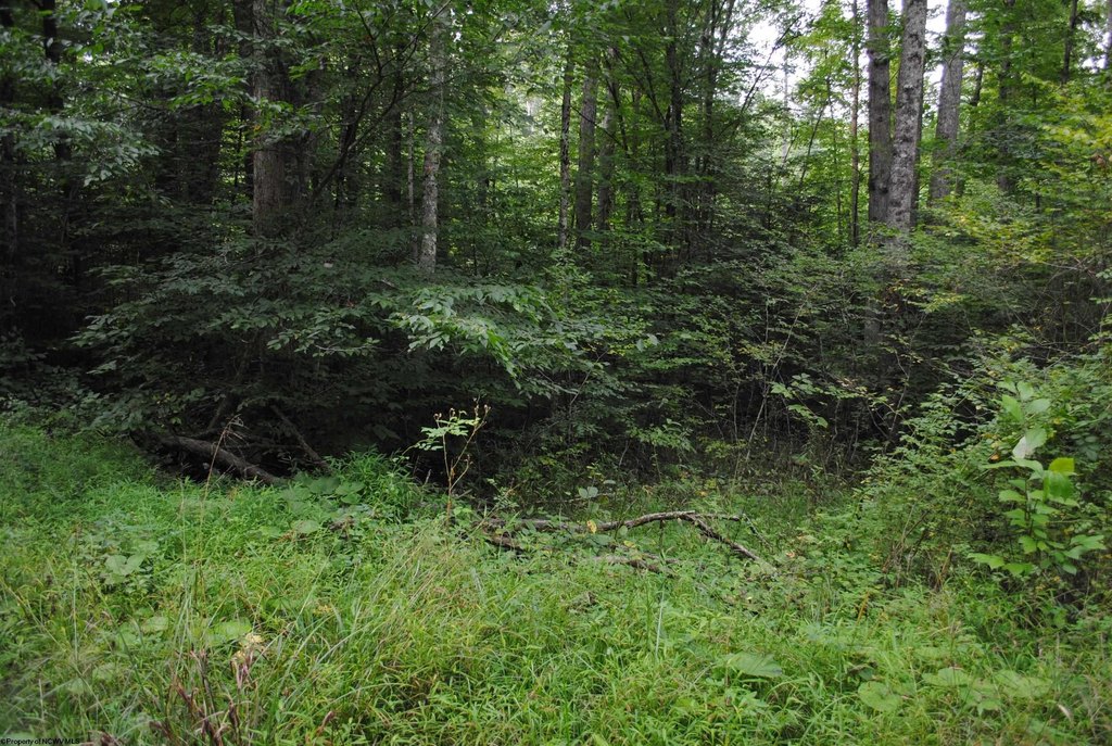 Picture 4
