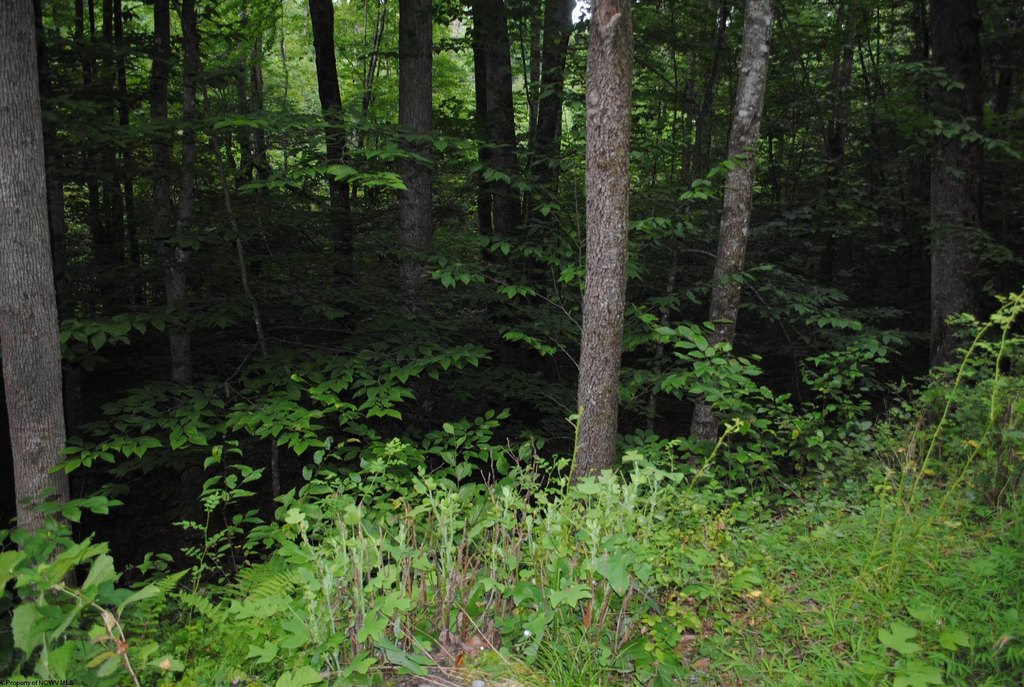 Picture 7