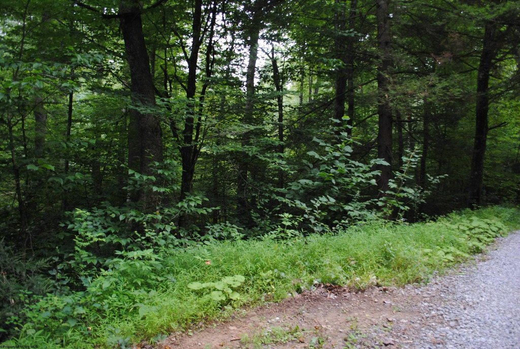 Picture 8