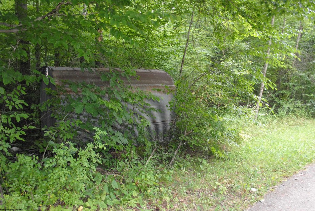 Picture 18