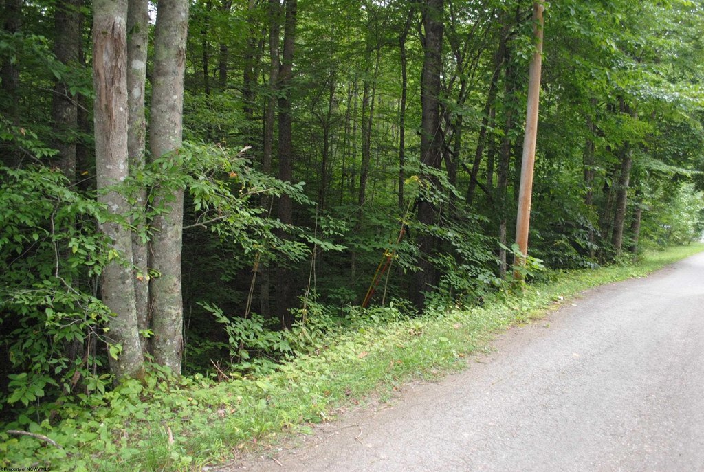 Picture 17