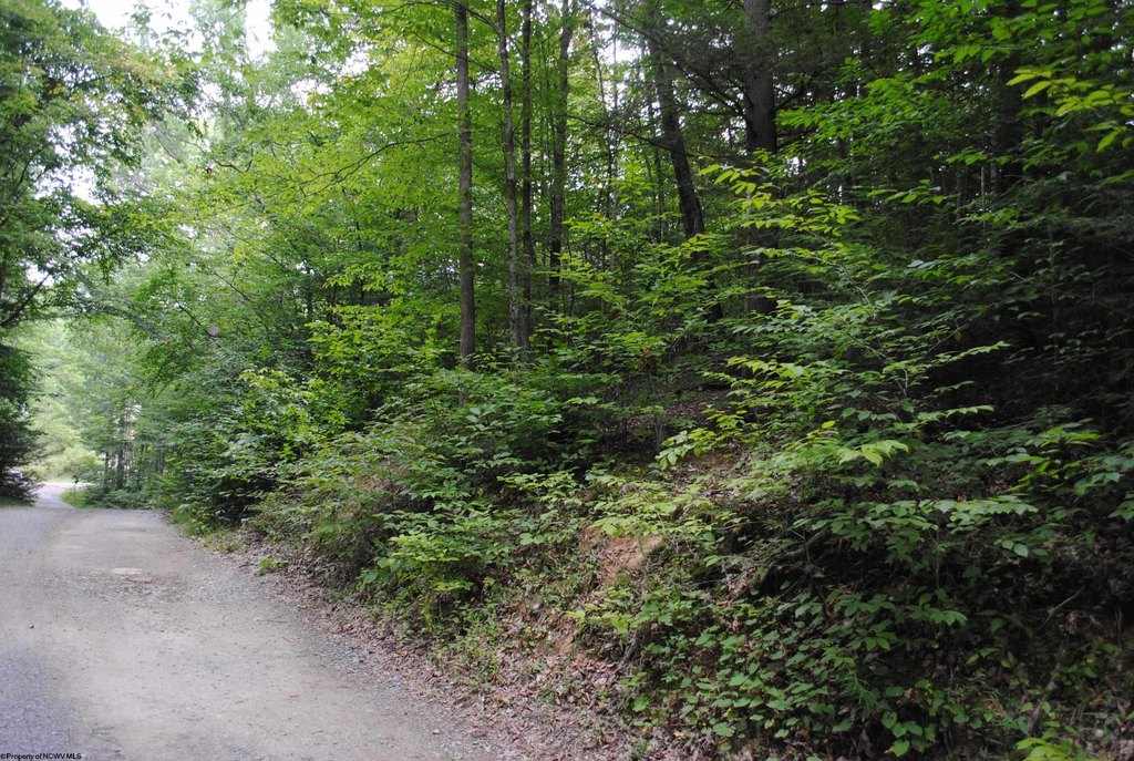 Picture 9