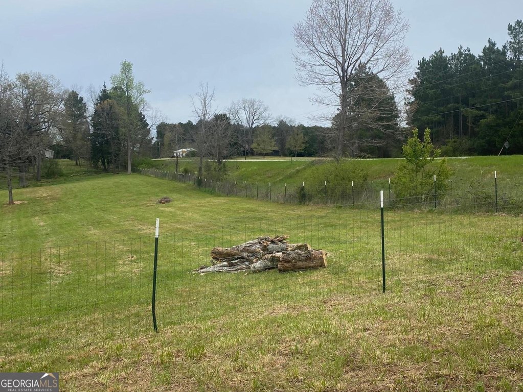 Picture 4