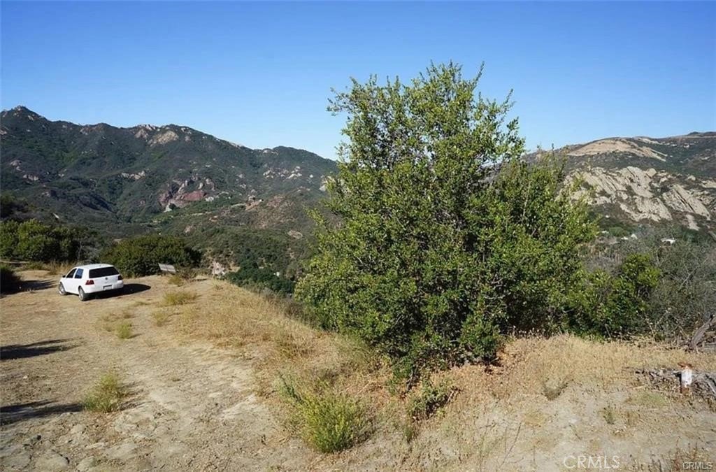 Picture 4