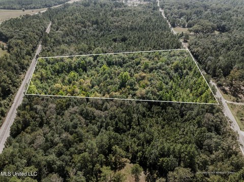 Saucier Land with Hardwoods