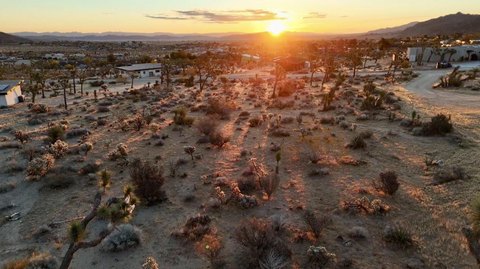 Joshua Tree Land For Sale
