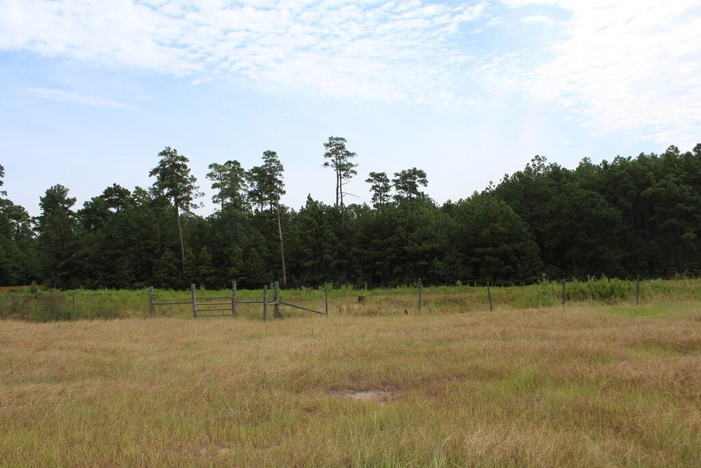 Picture 8