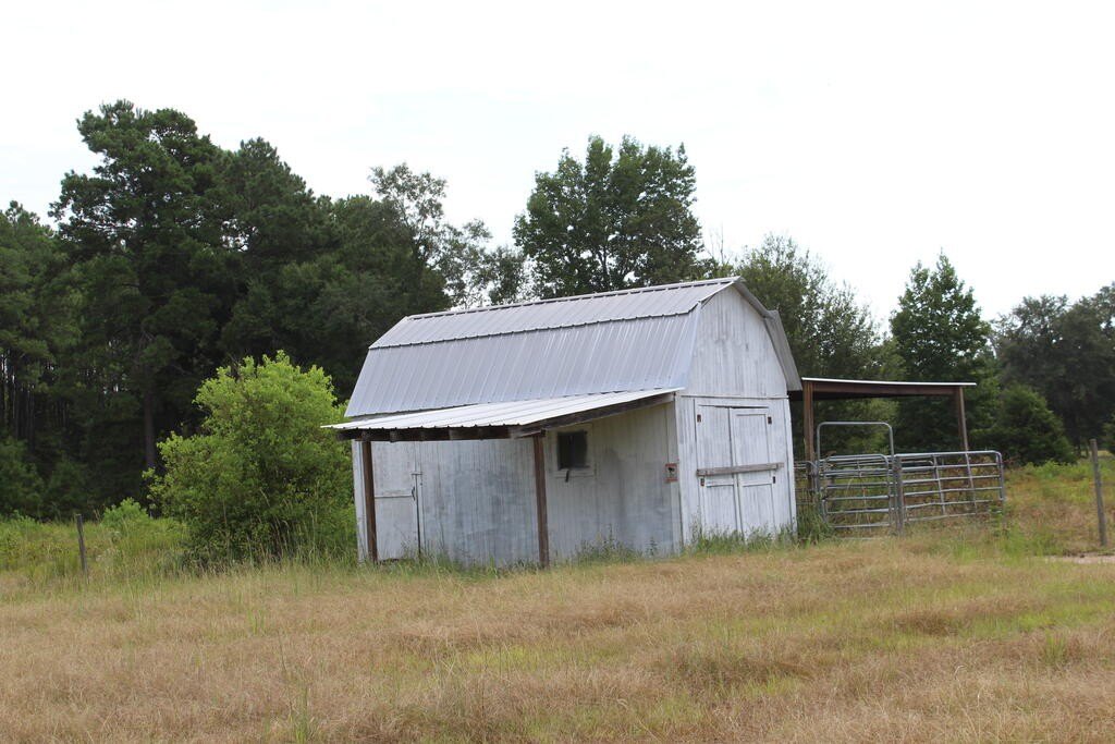 Picture 7