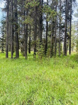 Land, Secesh, ID