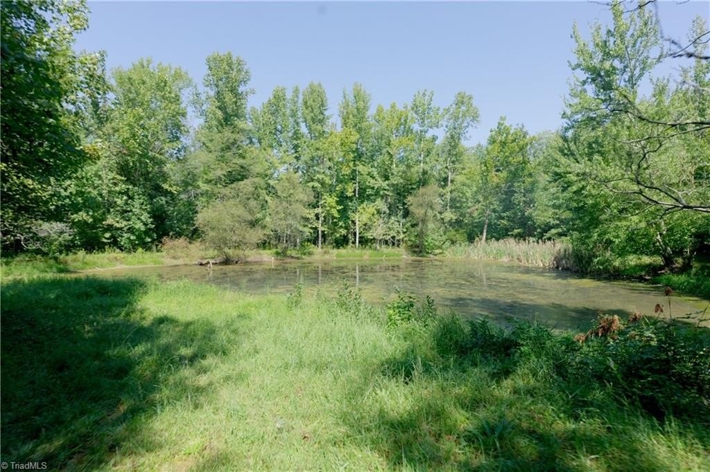 Picture 14