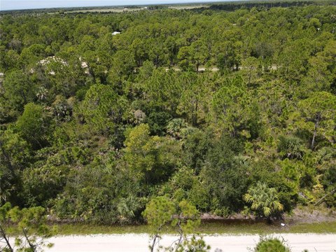 Punta Gorda Land Opportunity