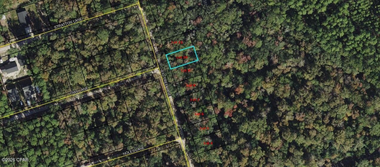 Crawfordville Vacant Land Opportunity